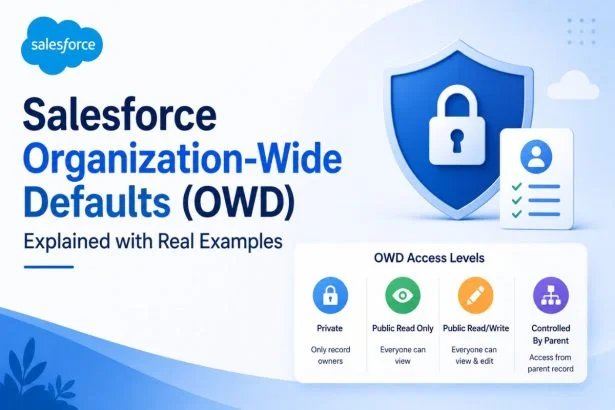 Salesforce OWD tutorial
