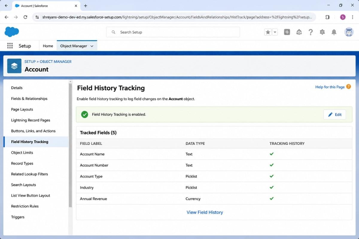 Salesforce Field History Tracking vs Setup Audit Trail
